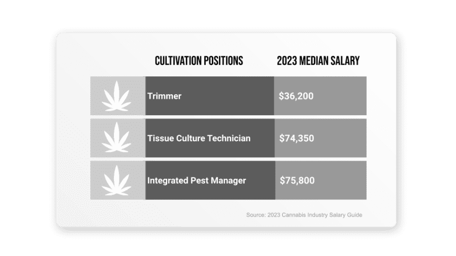 Salary Section-Cultivation